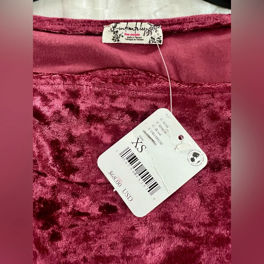 Free People Velvet Crop Top in Deep Wine